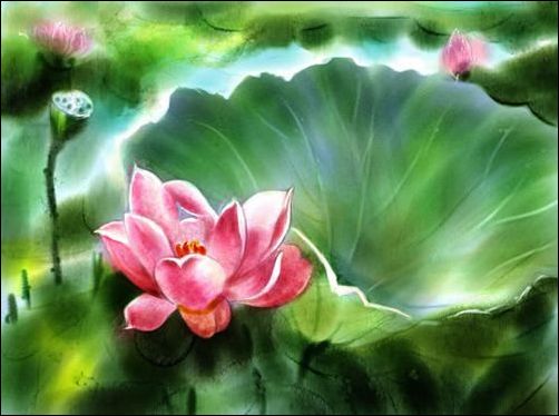Painter̳:ֻɻˮʻ_ҳѧgaoqian.comת