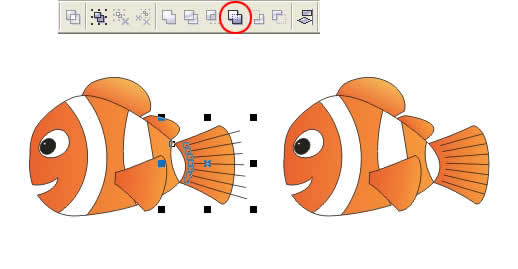 CoreldrawƺܶԱСNemo